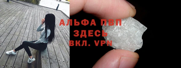 мдпв Вяземский