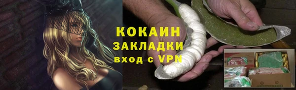 мдпв Вяземский