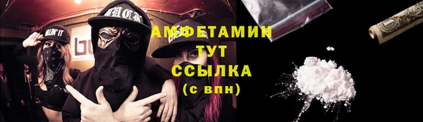 мдпв Вяземский