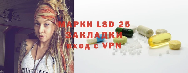 мдпв Вяземский