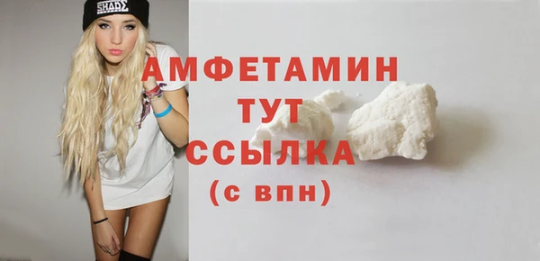 мдпв Вяземский