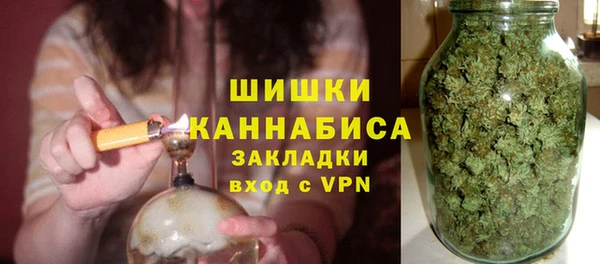мдпв Вяземский