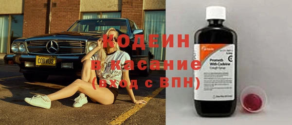 мдпв Вяземский