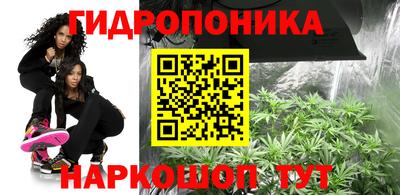 скорость Краснознаменск