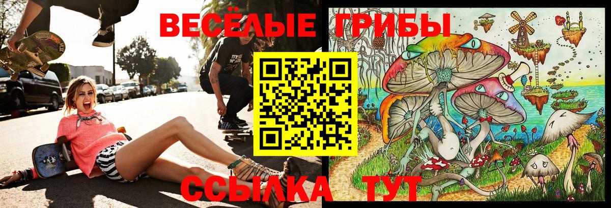 Псилоцибиновые грибы MAGIC MUSHROOMS Железногорск